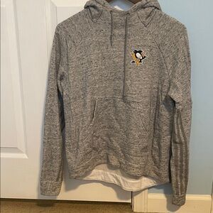 Adidas Gray Hoodie with Team Emblem